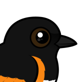 American Redstart