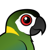 Golden-collared Macaw