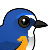 Red-flanked Bluetail