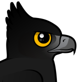 Black Hawk-Eagle