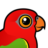 Chattering Lory