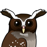 Crested Owl