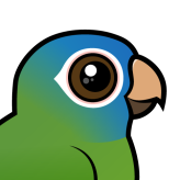 Blue-crowned Conure