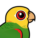Yellow-headed Amazon