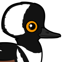 Hooded Merganser