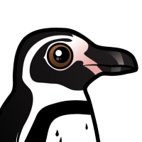 Humboldt Penguin
