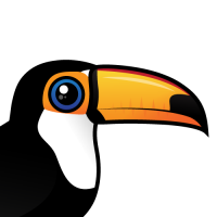 Toco Toucan
