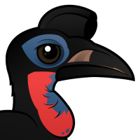 Abyssinian Ground Hornbill