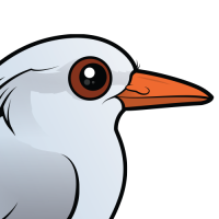 Kagu