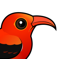 'I'iwi