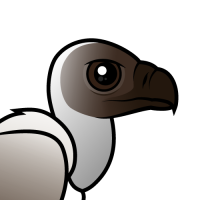 White-backed Vulture