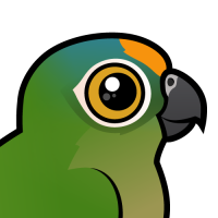 Peach-fronted Parakeet