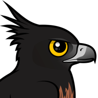 Black-and-chestnut Eagle