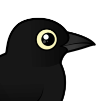 Rusty Blackbird