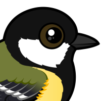Great Tit