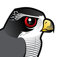 Northern Goshawk