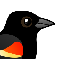 Red-winged Blackbird