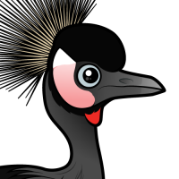 Black Crowned-Crane