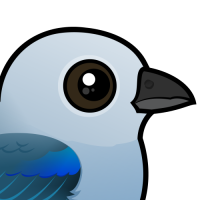 Blue-gray Tanager