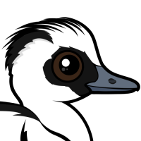 Smew