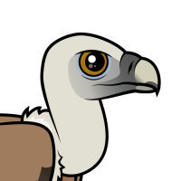 Eurasian Griffon