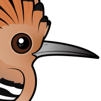 Hoopoe