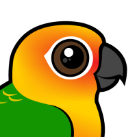 Jandaya Conure