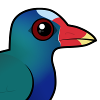 Purple Gallinule