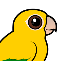 Golden Parakeet