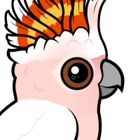 Pink Cockatoo