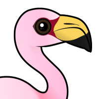 James's Flamingo