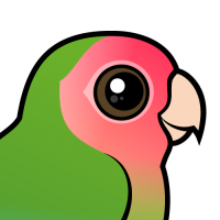 Rosy-faced Lovebird