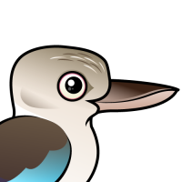 Blue-winged Kookaburra