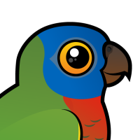 Saint Lucia Parrot