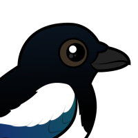 Eurasian Magpie