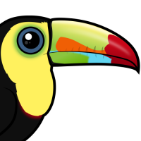 Keel-billed Toucan