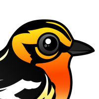 Blackburnian Warbler