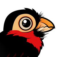 Bearded Barbet