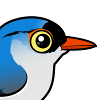Velvet-fronted Nuthatch
