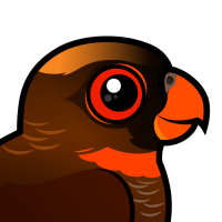 Dusky Lory