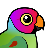 Plum-headed Parakeet