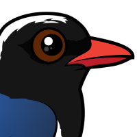 Red-billed Blue-Magpie
