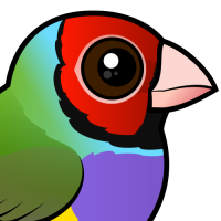 Gouldian Finch