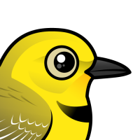 Yellow Chat