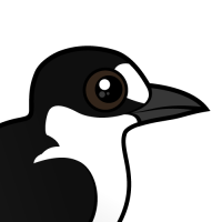 Sooty Tern