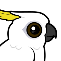 Sulphur-crested Cockatoo