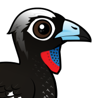 Black-fronted Piping Guan