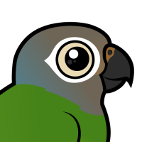 Dusky-headed Parakeet
