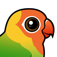 Lilian's Lovebird