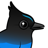 Steller's Jay